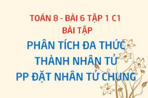 Bài tập phân tích đa thức thành nhân tử bằng phương pháp đặt nhân tử chung - Toán 8 bài 6 tập 1 chương 1